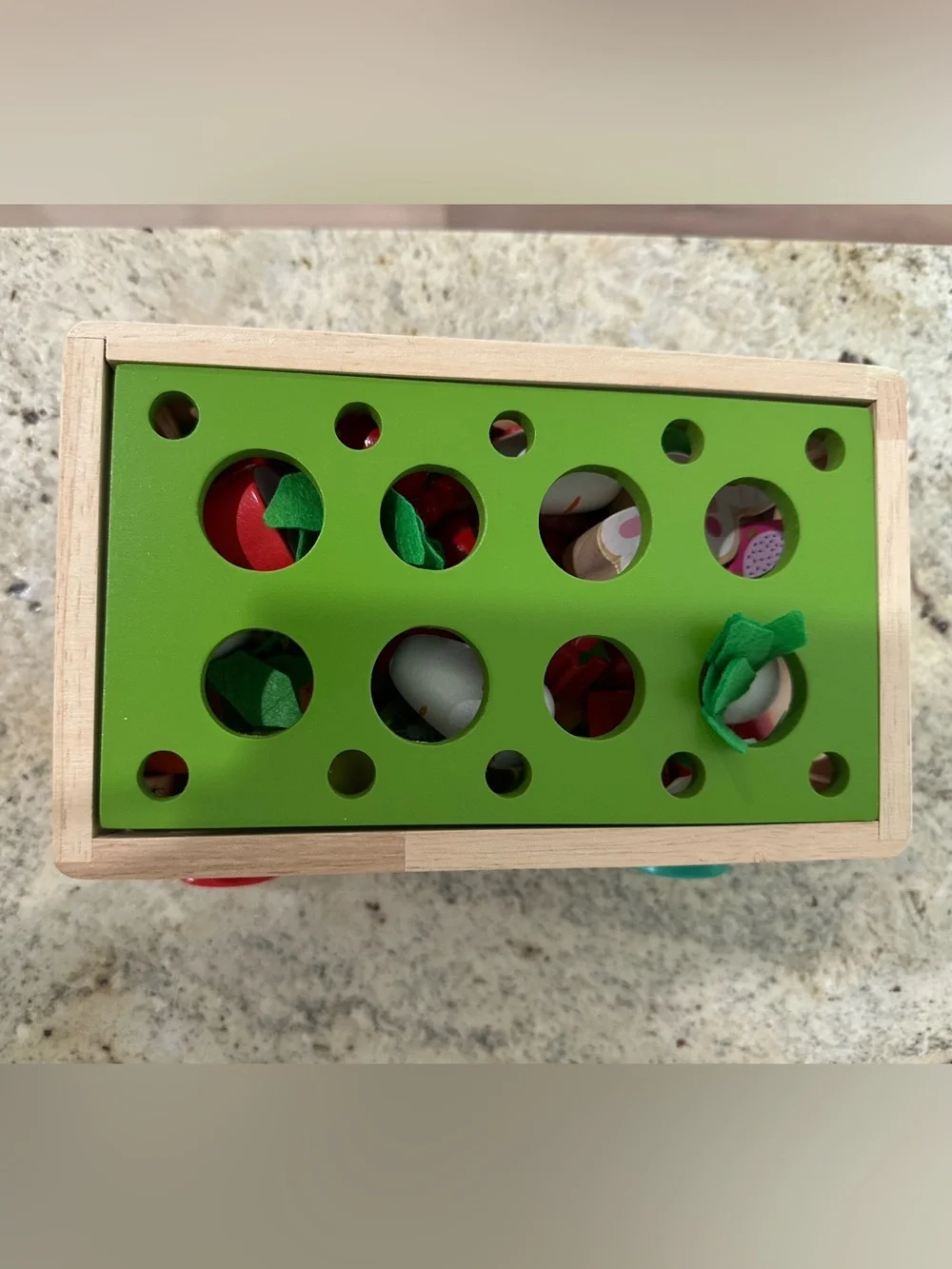 Montessori Wooden Garden Pop-Up Toy